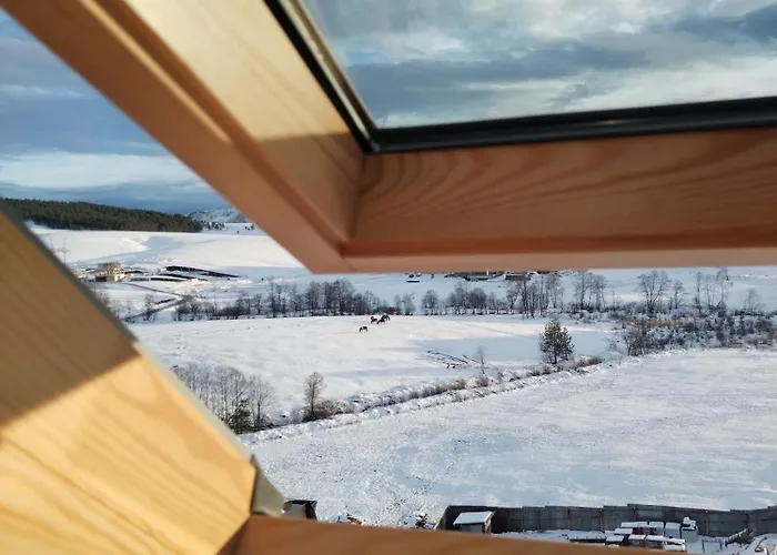 Sm Relax ズラティボール