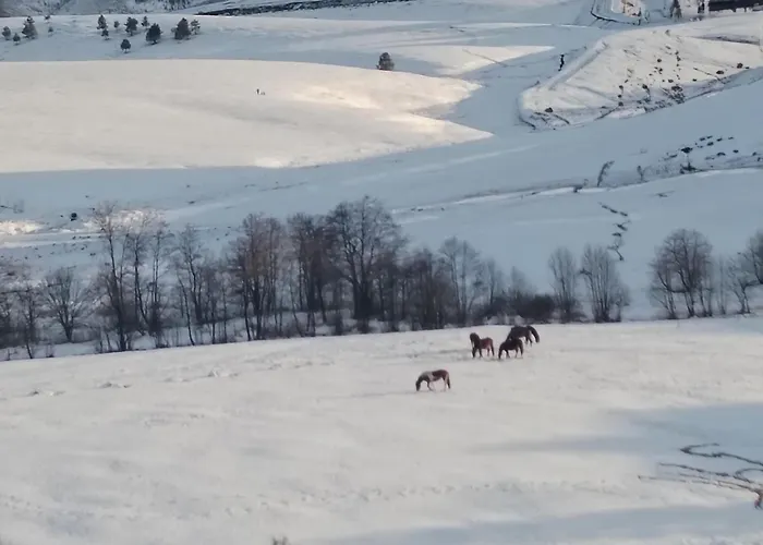 Sm Relax * ズラティボール